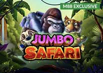 Jumbo Safari