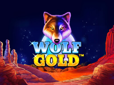 모든 것을 아는 Wolf Gold 당신의 운을 찾으세요! 모든 것을 아는 Wolf Gold 당신의 운을 찾으세요!