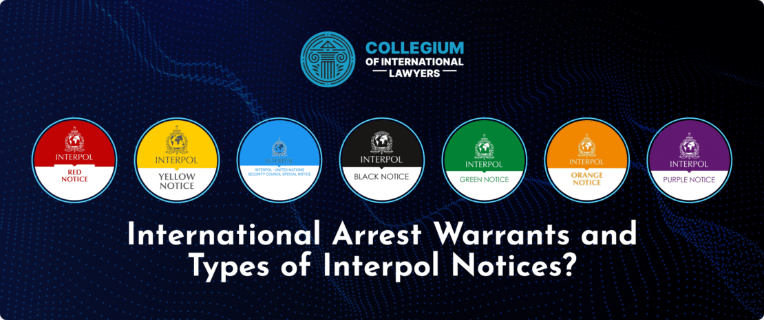 Interpol Arrest Statistics A Comparative Analysis by Country